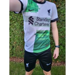 LIVERPOOL - Virgil Van Dijk - bílo-zelený