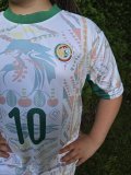  SENEGAL - Mané - bílo-žluto-zelený